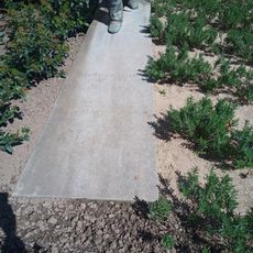 Opera d'arte, scultura