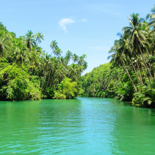 Loboc
