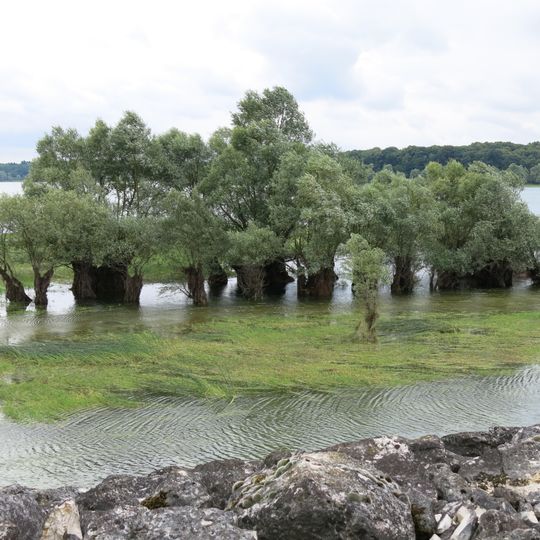 Étangs de la Champagne humide