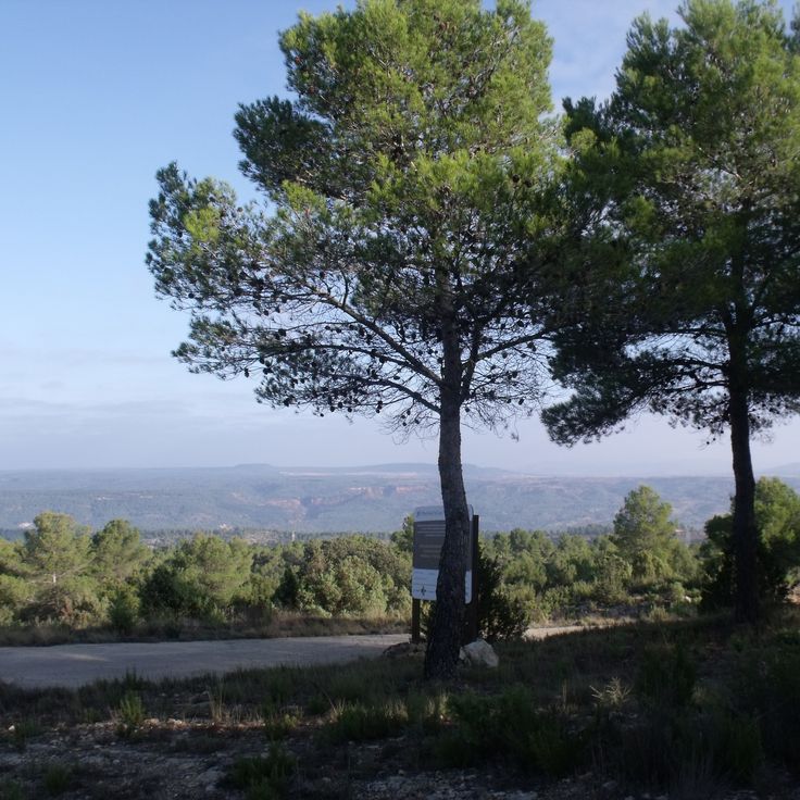 Hoces del Cabriel