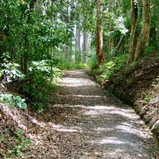 Palmwoods-Buderim Tramway
