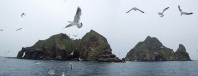 Vista panoramica 0