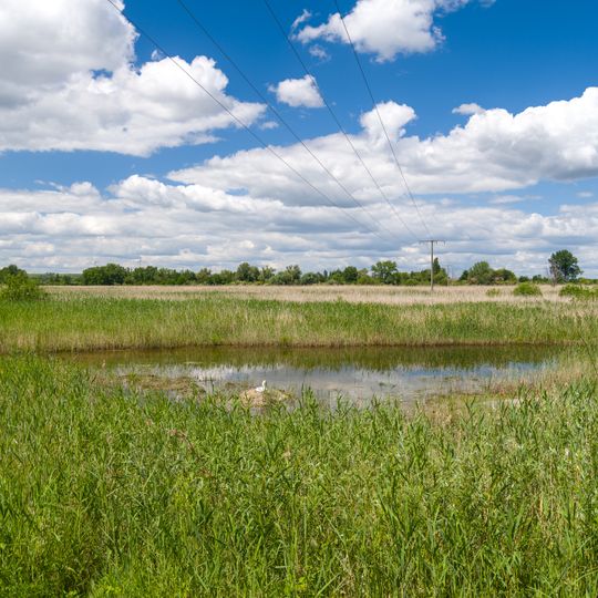 Eich-Gimbsheimer Altrhein