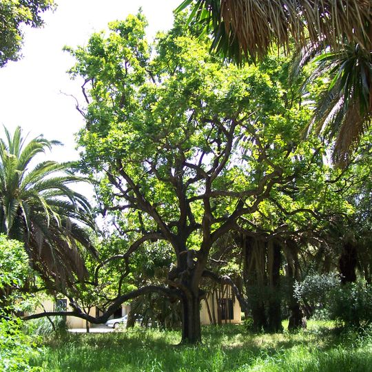 Parque de las Acacias y Jardines de Smith