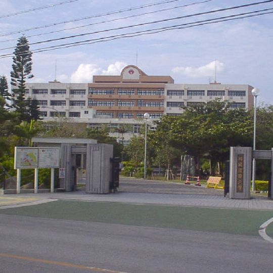 Okinawa International University