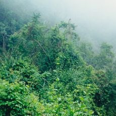 El Cielo Biosphere