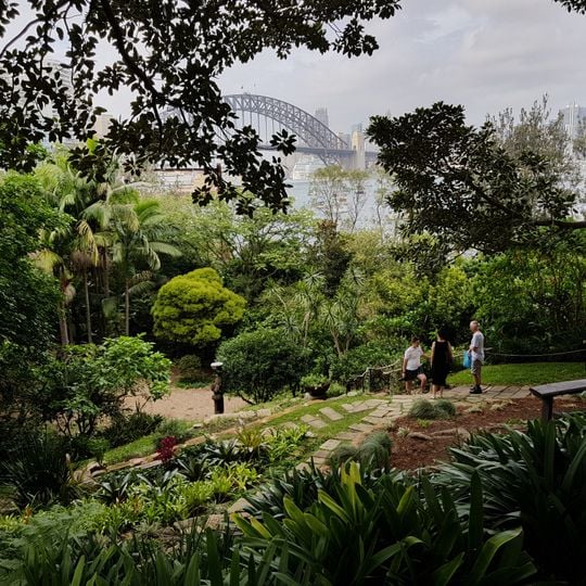 Wendy's Secret Garden