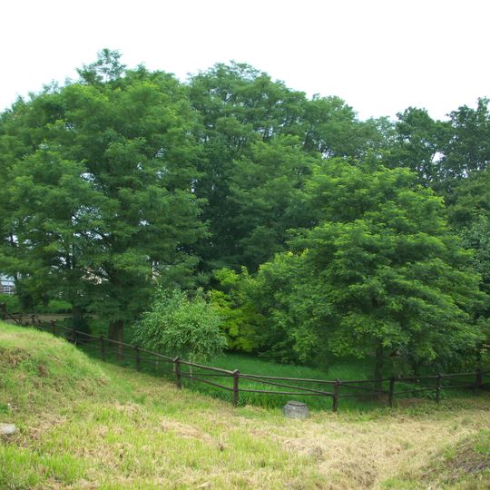 Park Kwitnąca Akacja w Trepczy