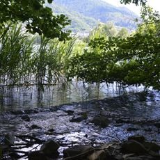 Biotopo Canneto di Levico