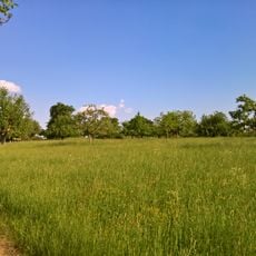 Landschaftsschutzgebiet Wingertsberg von Langstadt