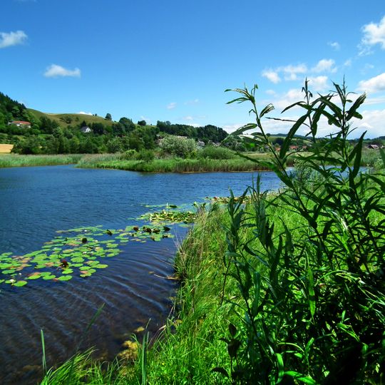 Heinz-Sielmann-Weiher