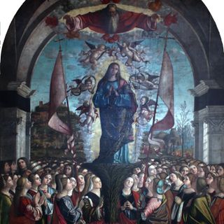 Apoteosi di Sant'Orsola e delle sue compagne
