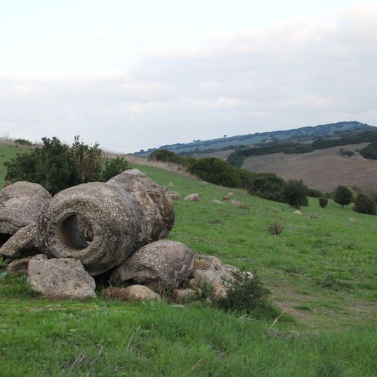 Foresta fossile di Carrucana