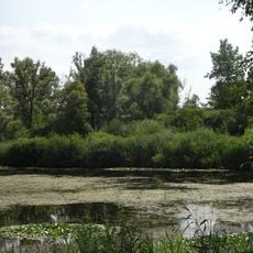 Réserve naturelle nationale de la tourbière alcaline de Marchiennes