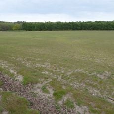 Potton Hall Fields, Westleton