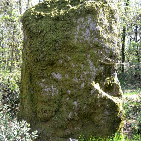 Menhir du Bois Hoël