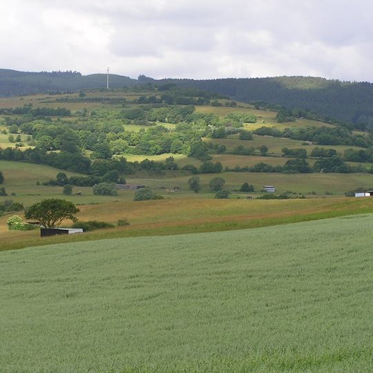 Magergrünland südlich Hallenberg