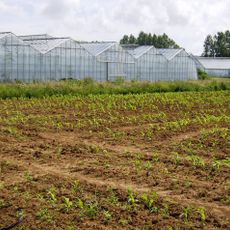 Great Budbridge Manor