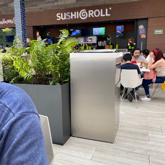 Sushi Roll