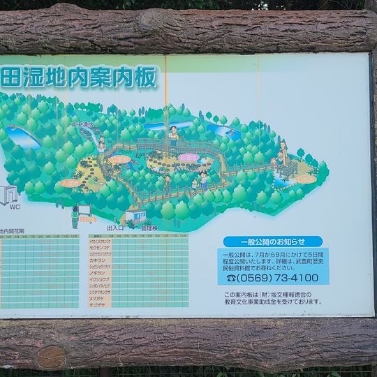 壱町田湿地
