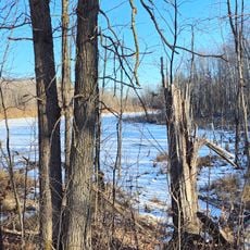 Pillsbury State Forest