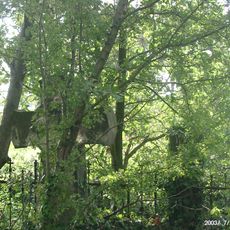 Cmentarz ewangelicki z aleją lipową w Kraśniku Dolnym