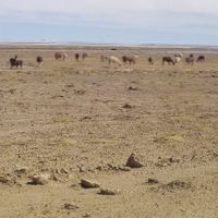 provincia di Gualberto Villarroel