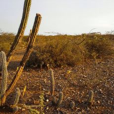 La Guajira Desert