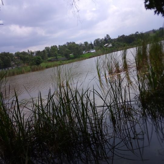 Kamiti Maximum Security Prison