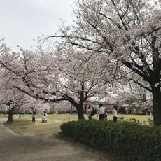 Chihoku Peace Park