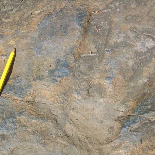 Dinosaur Footprints Reservation