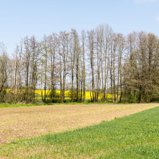 LSG-Woerbke / Diestelbach