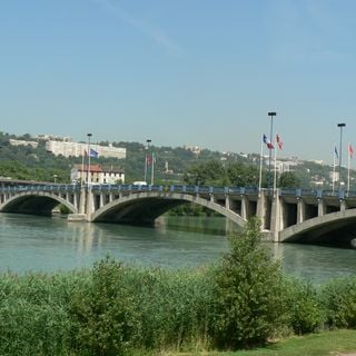 Pasteur bridge