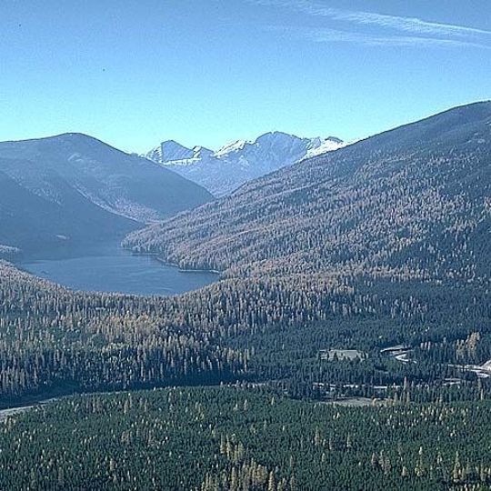Flathead National Forest
