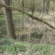 Grienwiesen (Schüle-See)