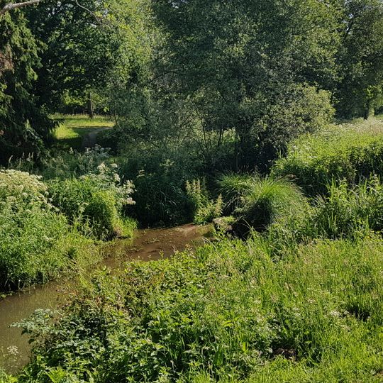 Ruisseau de Vivère