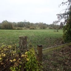 Réserve naturelle régionale de l'étang et prairie humide des Paquis