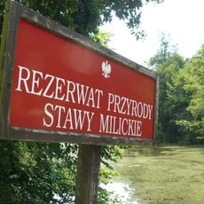 Stawy Jaskółcze