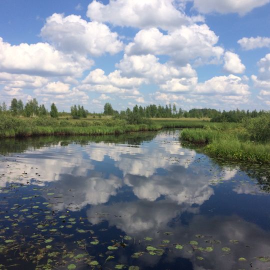 District de Loknjanski