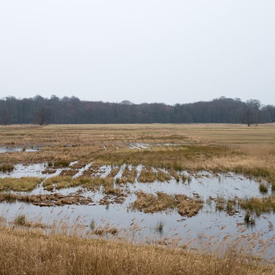 Mönchbruch von Mörfelden und Rüsselsheim