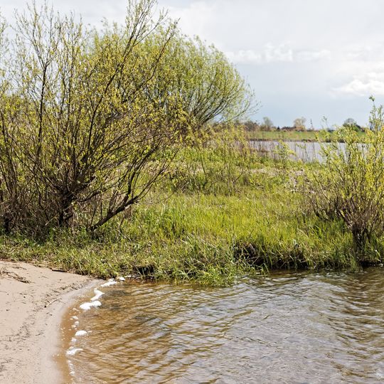 Lauenburger Elbvorland
