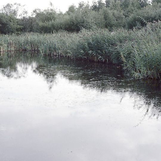 Fingringhoe Wick