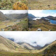 Bosque de protección Pui Pui