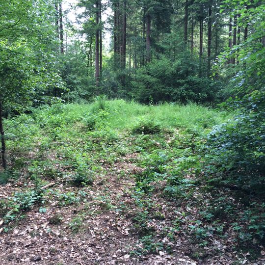 Terrein waarin 8 grafheuvels