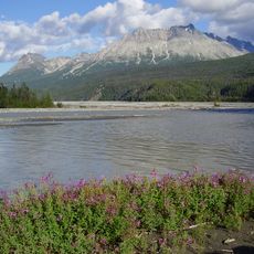 Provinciaal park Tatshenshini-Alsek