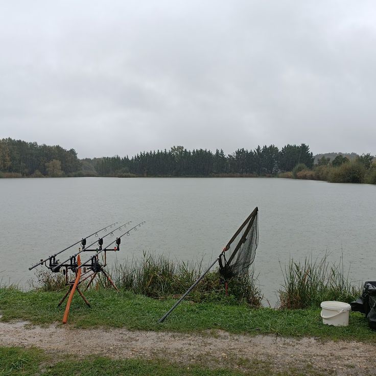 Étangs de la Brenne