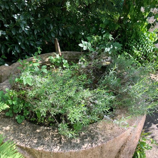 Fountain Kirchgemeindehaus St. Niklaus