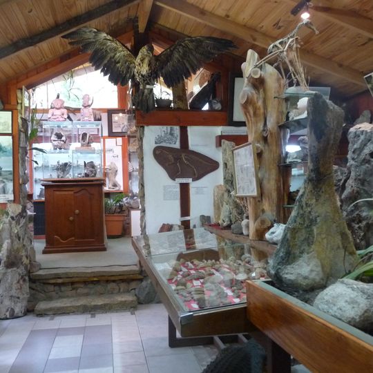 Museo Del Lago Gutiérrez Dr. Rosendo Pascual