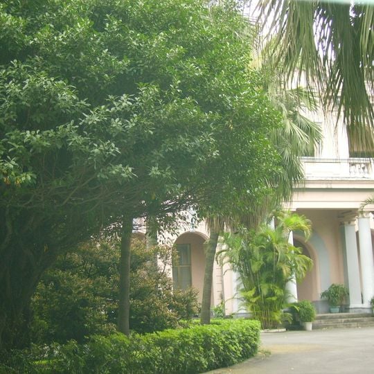 Chinese Women's Anti-Aggression League Building