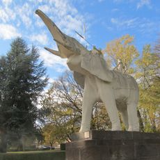 Éléphant monté par des Noirs